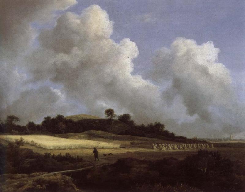 Jacob van Ruisdael View of Grainfields with a Distant town oil painting image